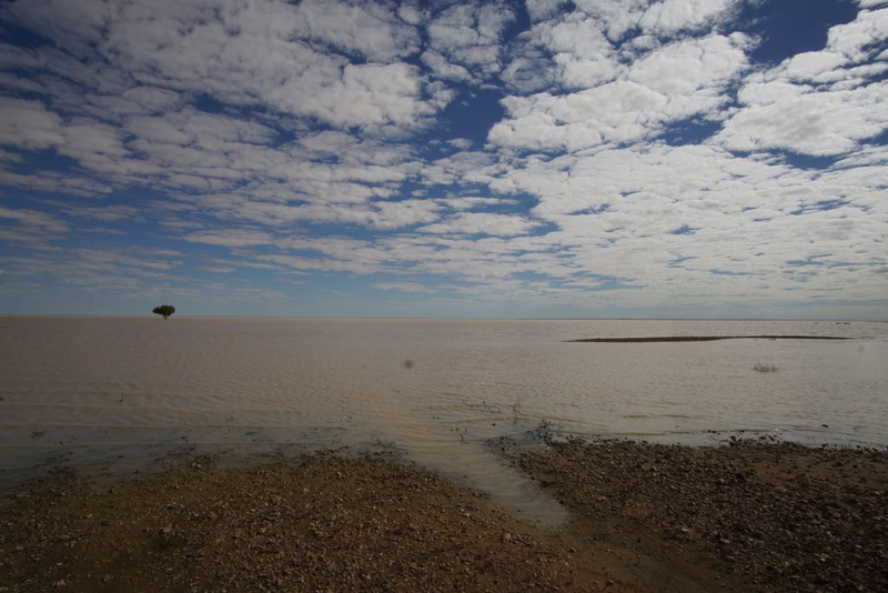 Illustration for article titled AWOL Around Australia... The Flooded Desert